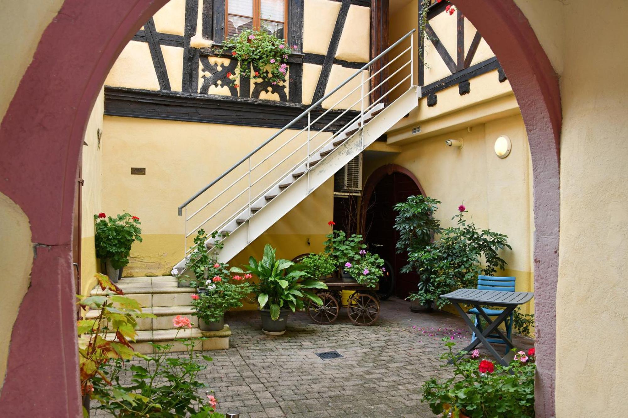 Apartament Au Nid D'Hirondelles Ribeauvillé Zewnętrze zdjęcie